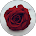 RESEÑA 3